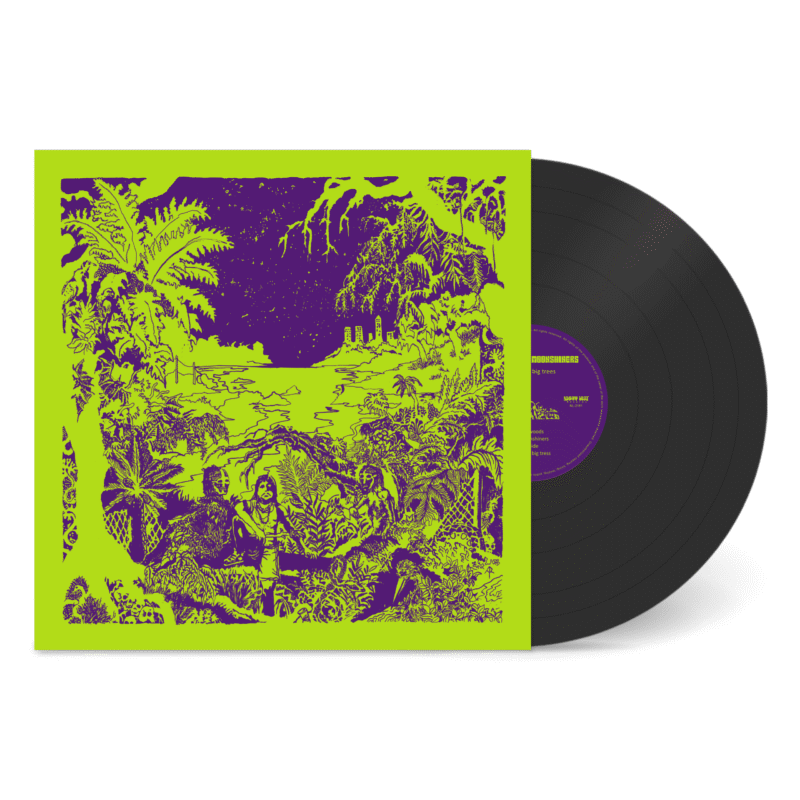 LoKa And The Moonshiners  - Under The Big Trees (lp 12' vinyl) - download code included